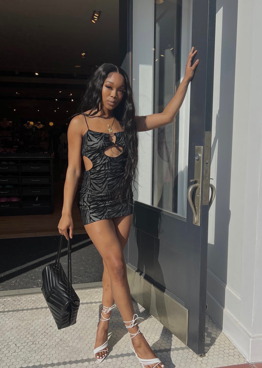 Zebra Mini Dress - Miss Londyn